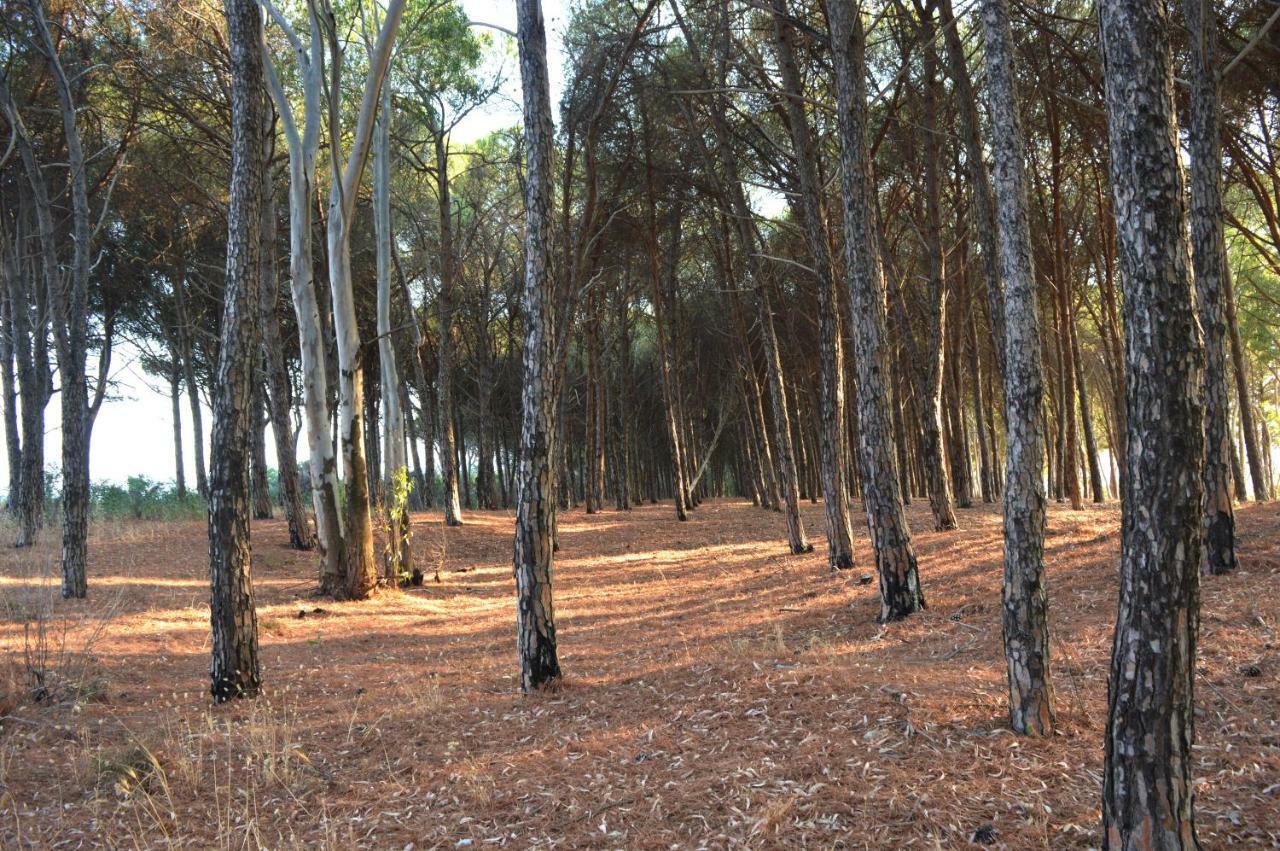 Oasi Del Governatore Squillace Exterior foto
